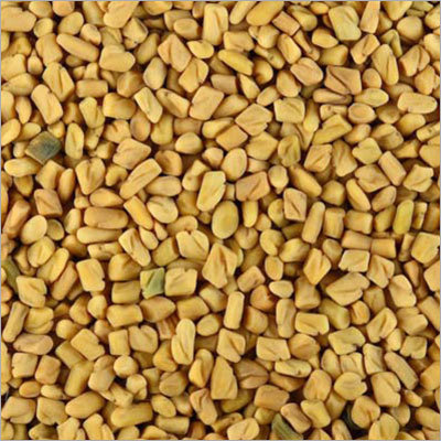Fenugreek Seeds