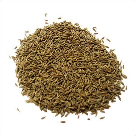 Cumin Seeds - Small Size, Brown Color, Low Moisture | Freshness, High Purity (99%), Rich Aroma, Unique Flavor, Safe Packaging, Wide Usage