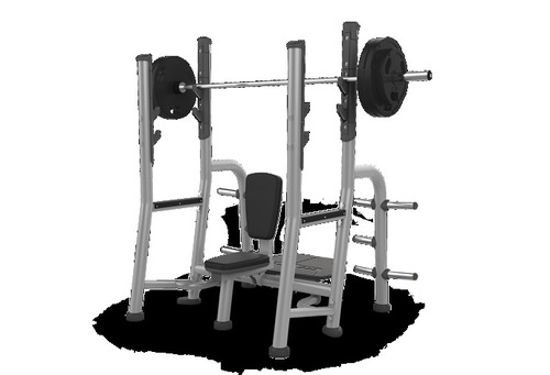 Shoulder Press Front Rair