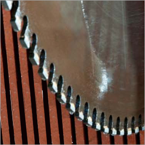 Single Blade Segment