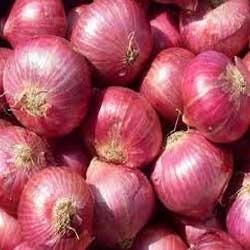 FRESH VEGETABLES