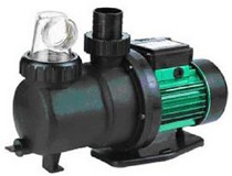 Swimming Pool Pumps