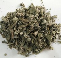 Cold Dried Sage leaves