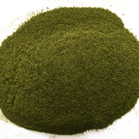 Freeze Dried Brahmi Bacopa Powder - Age Group: Suitable For All