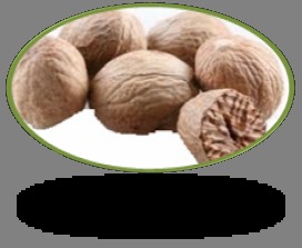 Nut Meg