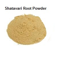 Freeze Dried Shatavari Root Powder