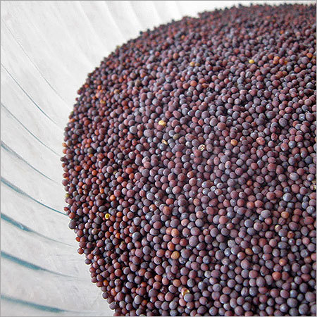 Mustard Seeds