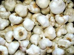 Freeze Dried Chopped Garlic
