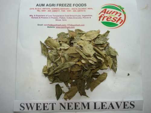 Freeze Dried Sweet Neem Leaves