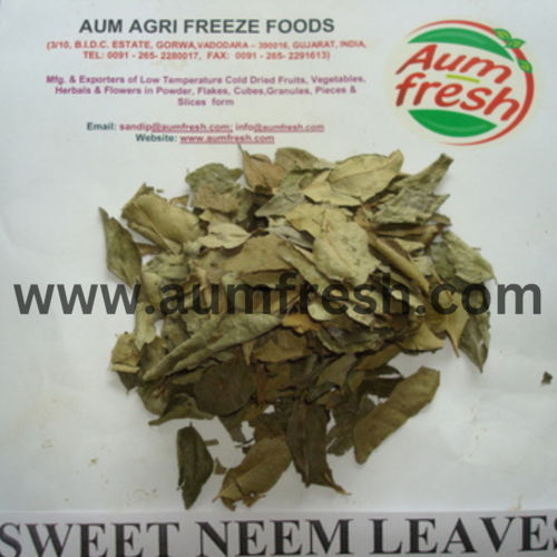 Freeze Dried Sweet Neem Leaves