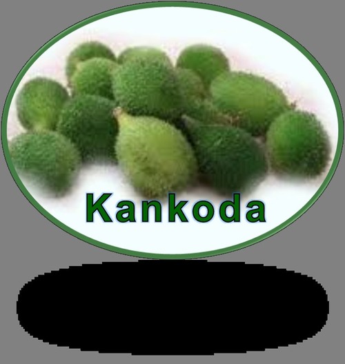 Kankoda (Squash) Slices