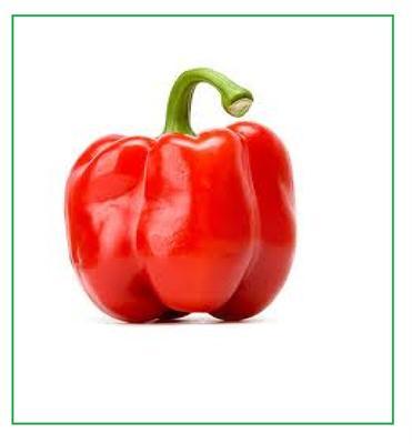 Red Bell Pepper