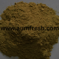 Freeze Dried Bottle Gourd Powder - Additives: 100% Natural