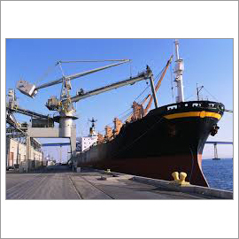 Sea Freight Services By SAGA FREIGHT EXPRESS PVT. LTD.