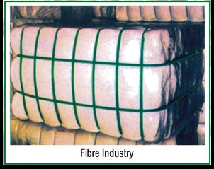 PP/PET Strap for Fibre Industry