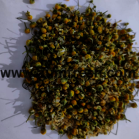 Organic Chamomile Buds - Dried Flowers, Buds For Herbal Tea Blends And Aromatherapy