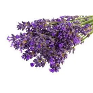 Cold Dried Lavender Flakes