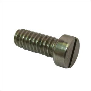 Stainless Steel Screw