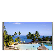 55" UD Series Large Format Display (UD55A)