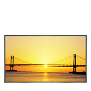 46" UX Series Large Format Display (460UX-3)
