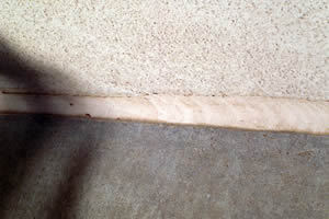 polyurethane-sealant