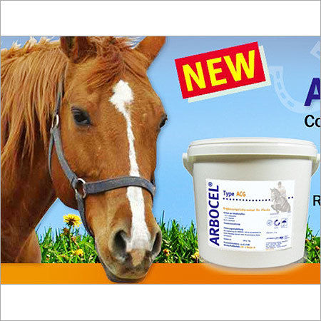 Horse Food Supplements Horse Food Supplements