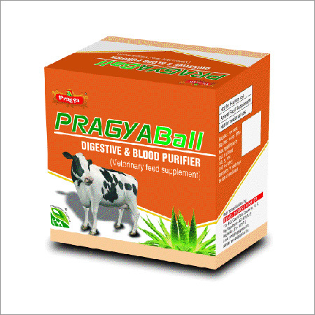 Pragya Ball