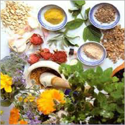 Cancer Treatment Services