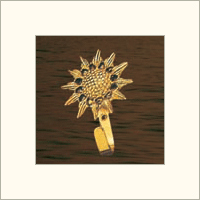 Brass Tassel Hooks