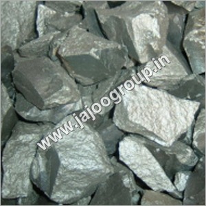 Silico Manganese Exporters