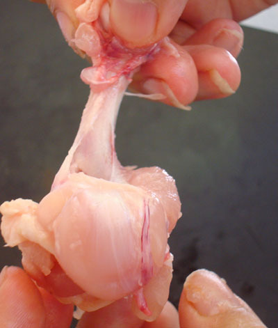 Chicken Lollipops