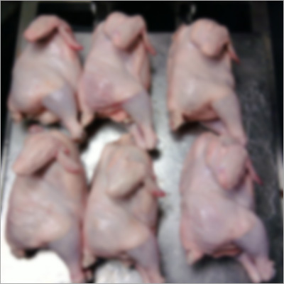 Frozen Chicken Legs