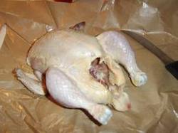 Chicken Dressed Broiler