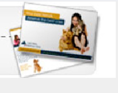 Postcards Printing - Premium Paper, Custom Sizes, Full Color | UV/Aqueous Coating, Fast Turnaround, High-Quality Print Services for Events