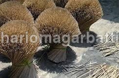 Bamboo Stick