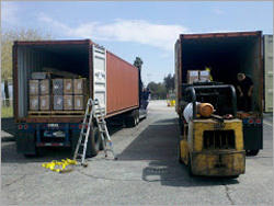 Cargo Freight Forwarding