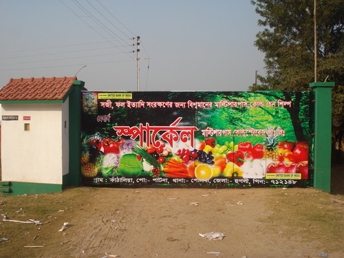 Multipurpose Cold Storage