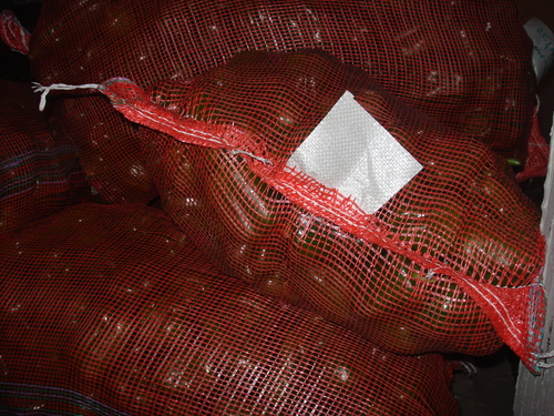 Cold Storage Compressor Machine