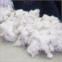 Cotton Ginning