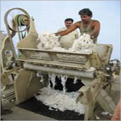 Natural Cotton Ginning