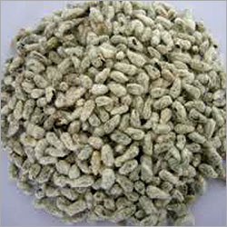 Cotton Seed