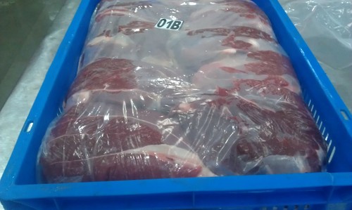 Fresh Kasila