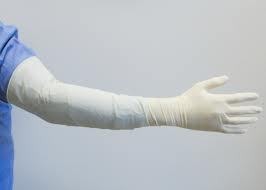 Veterinary Gloves By MANGLAM MEDIKITS PVT. LTD.
