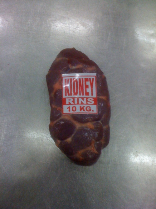 KIDNEY