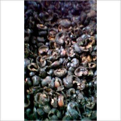 Cashew Nut Shell Cake