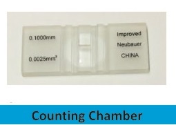 Counting Chamber