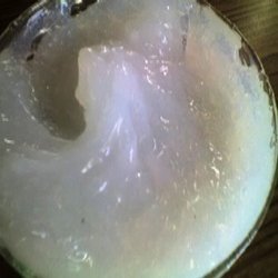 silicon grease