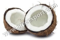 South Indian Coconut Exporters