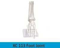 Foot Joint