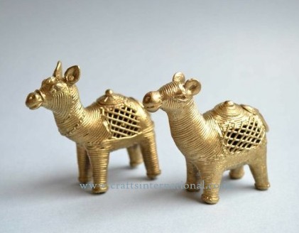 Tribal camel